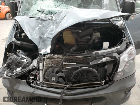 2014 Mercedes-Benz Sprinter with VIN WD4PE8DC7E5873960, listed as a Copart auction lot 78246843 with Not Provided miles and Salvage Title. Bid and sale history available at DreamBid. Image 12.