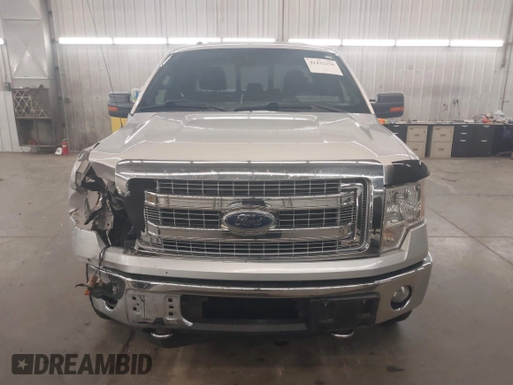 2013 Ford F-150 XL with VIN 1FTFX1ET8DFA27898, listed as a IAAI auction lot 42432250 with 171,164 mi miles and . Bid and sale history available at DreamBid. Image 13.