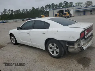 2014 Dodge Charger SE with VIN 2C3CDXBG9EH129799, listed as a Copart auction lot 50556275 with 167,061 mi miles and Salvage Title. Bid and sale history available at DreamBid. Image 2.
