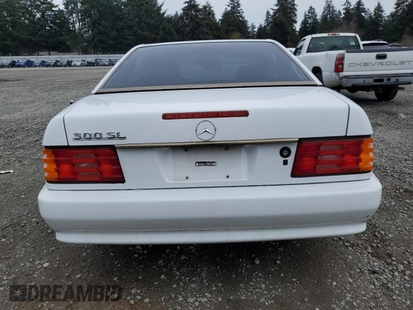 1991 Mercedes-Benz 300 with VIN WDBFA61E3MF015341, listed as a Copart auction lot 49173335 with 160,319 mi miles and Clean Title. Bid and sale history available at DreamBid. Image 6.