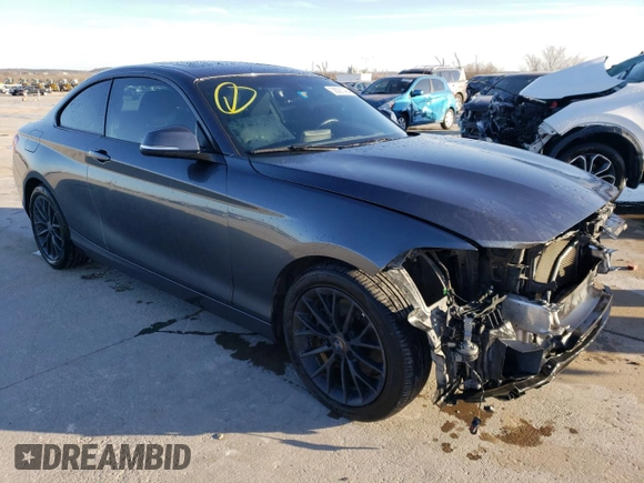 2016 BMW 2 Series 228i with VIN WBA1F9C55GV546771, listed as a Copart auction lot 38291464 with 116,803 mi miles. Bid and sale history available at carsss.com. Image 4.