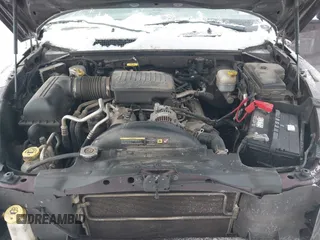 2005 Dodge Dakota SLT with VIN 1D7HW42N65S305733, listed as a IAAI auction lot 41289814 with 149,226 mi miles and . Bid and sale history available at DreamBid. Image 10.