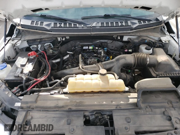 2019 Ford F-150 XL with VIN 1FTEX1EP6KKF02824, listed as a Copart auction lot 85951804 with 60,583 mi miles and Clean Title. Bid and sale history available at carsss.com. Image 11.