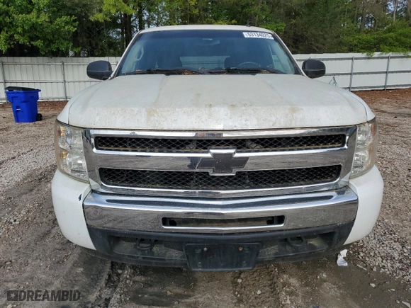 2010 Chevrolet Silverado 1500 LT with VIN 1GCSKSE30AZ127202, listed as a Copart auction lot 53134025 with 113,867 mi miles and Clean Title. Bid and sale history available at carsss.com. Image 5.