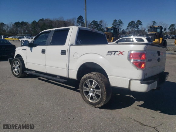 2014 Ford F-150 XL with VIN 1FTFW1CF8EFB56239, listed as a Copart auction lot 48517385 with 311,908 mi miles and Salvage Title. Bid and sale history available at carsss.com. Image 2.