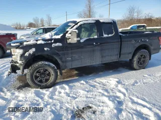 2016 Ford F-150 XLT with VIN 1FTEX1EP8GFB72703, listed as a Copart auction lot 42922645 with 161,682 mi miles and Salvage Title. Bid and sale history available at carsss.com. Image 1.