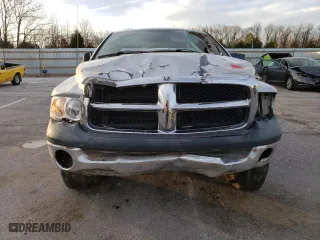 2003 Dodge Ram 1500 ST with VIN 1D7HA16N83J574066, listed as a Copart auction lot 49056675 with 110,308 mi miles and Salvage Title. Bid and sale history available at carsss.com. Image 5.