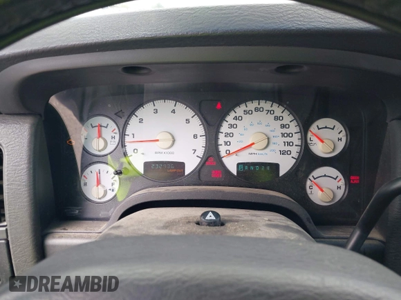 2002 Dodge 1500 z VIN 1D7HA18N12J234527, wystawiony jako IAAI lot #42144988 z przebiegiem 232 936 mil mil oraz . Historia ofert i sprzedaży dostępna na DreamBid. Obrazek 7.