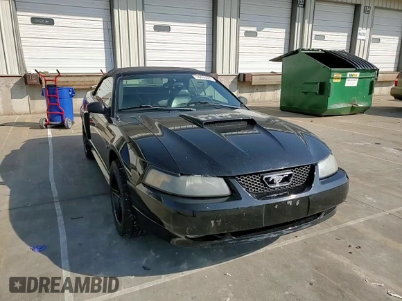 2002 Ford Mustang GT Deluxe with VIN 1FAFP45X02F201213, listed as a Copart auction lot 56493595 with 81,776 mi miles and Salvage title. Bid and sale history available at DreamBid. Image 14.
