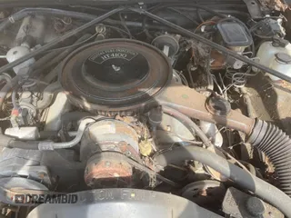 1982 Cadillac Seville z VIN 1G6AS6989CE694210, wystawiony jako Copart lot #74978254 z przebiegiem 21 412 mil mil oraz Tytuł czysty. Historia ofert i sprzedaży dostępna na DreamBid. Obrazek 7.