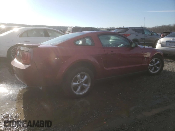 2007 Ford Mustang Deluxe with VIN 1ZVHT80N175353149, listed as a Copart auction lot 45021165 with 124,137 mi miles and Salvage Title. Bid and sale history available at carsss.com. Image 3.