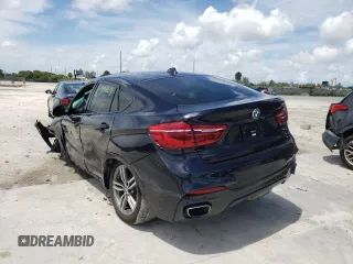 2019 BMW X6 sDrive35i with VIN 5UXKU0C55K0S97501, listed as a Copart auction lot 51173272 with 29,869 mi miles. Bid and sale history available at carsss.com. Image 3.