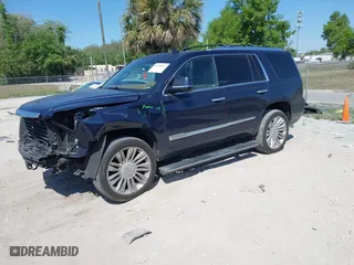 2017 Cadillac Escalade Platinum with VIN 1GYS4DKJ2HR232434, listed as a IAAI auction lot 41870447 with 89,003 mi miles. Bid and sale history available at carsss.com. Image 2.