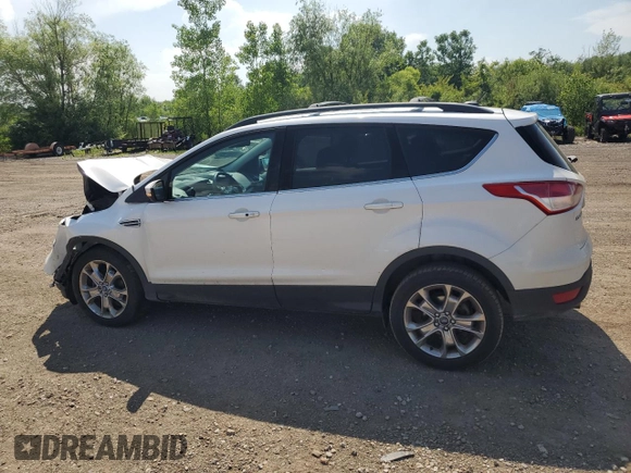 2013 Ford Escape SEL with VIN 1FMCU0HX4DUA84806, listed as a Copart auction lot 62593805 with 107,147 mi miles and Salvage title. Bid and sale history available at DreamBid. Image 2.