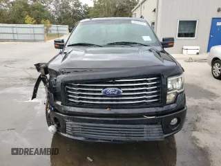 2010 Ford F-150 with VIN 1FTEW1CV0AFB54367, listed as a Copart auction lot 78797254 with 220,357 mi miles and Salvage title. Bid and sale history available at DreamBid. Image 5.