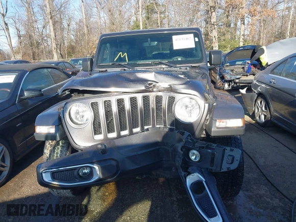 2018 Jeep Wrangler Unlimited Sahara with VIN 1C4HJXEN5JW203879, listed as a IAAI auction lot 41131467 with 87,065 mi miles and . Bid and sale history available at DreamBid. Image 12.