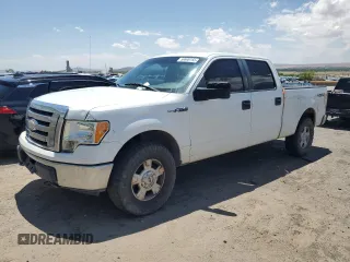 2009 Ford F-150 XL z VIN 1FTPW14V99FB07647, wystawiony jako Copart lot #59698155 z przebiegiem 222 226 mil mil oraz Czysty tytuł • Clean title. Historia ofert i sprzedaży dostępna na DreamBid. Obrazek 1.