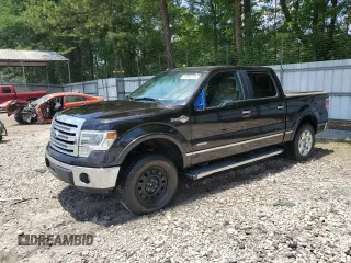2013 Ford F-150 XL with VIN 1FTFW1ET0DKG02294, listed as a Copart auction lot 61996315 with 171,916 mi miles and Salvage title. Bid and sale history available at DreamBid. Image 1.
