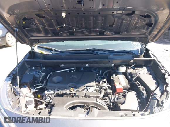 2019 Toyota RAV4 XLE with VIN 2T3P1RFV1KW056420, listed as a IAAI auction lot 41982282 with 53,424 mi miles and . Bid and sale history available at DreamBid. Image 10.