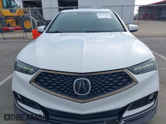 2019 Acura TLX w/A-Spec Pkg with VIN 19UUB1F60KA006344, listed as a IAAI auction lot 41429268 with 113,805 mi miles. Bid and sale history available at carsss.com. Image 12.