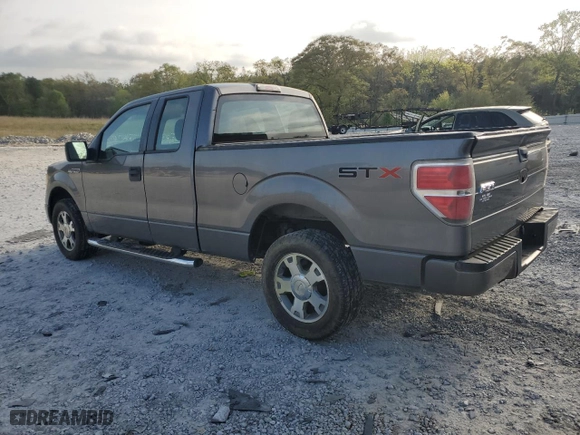 2010 Ford F-150 XL with VIN 1FTEX1CW3AFA31233, listed as a Copart auction lot 51651075 with 248,857 mi miles and Clean Title. Bid and sale history available at carsss.com. Image 2.