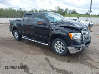 2013 Ford F-150 XL with VIN 1FTFW1CF9DFA50400, listed as a IAAI auction lot 41941769 with 115,739 mi miles and . Bid and sale history available at DreamBid. Image 1.