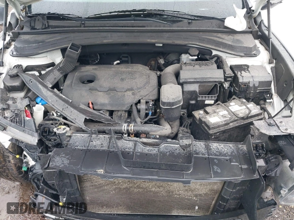 2019 Hyundai Santa Fe SE with VIN 5NMS2CAD1KH032805, listed as a IAAI auction lot 42385798 with Not provided miles and . Bid and sale history available at DreamBid. Image 10.