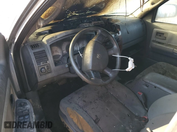 2005 Dodge Dakota SLT with VIN 1D7HW42N55S199548, listed as a Copart auction lot 49625615 with Not Provided miles and Salvage Title. Bid and sale history available at DreamBid. Image 8.