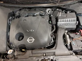 2009 Nissan Maxima 3.5 SV with VIN 1N4AA51E09C821755, listed as a IAAI auction lot 42016487 with 118,459 mi miles. Bid and sale history available at carsss.com. Image 10.