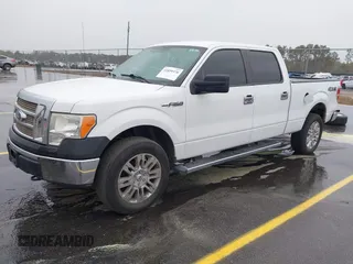 2013 Ford F-150 XL with VIN 1FTFW1EFXDFA99876, listed as a IAAI auction lot 41859370 with 248,683 mi miles. Bid and sale history available at carsss.com. Image 2.