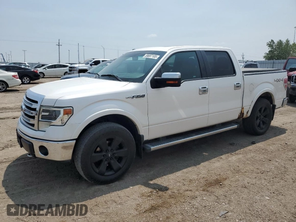 2013 Ford F-150 XL with VIN 1FTFW1EF6DKF53449, listed as a Copart auction lot 59697185 with 166,302 mi miles and Salvage title. Bid and sale history available at DreamBid. Image 1.