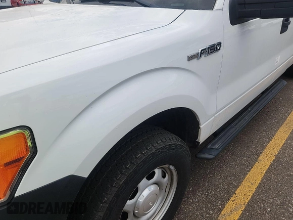 2013 Ford F-150 XL with VIN 1FTFX1EF0DKF87495, listed as a IAAI auction lot 42587666 with 221,982 mi miles and . Bid and sale history available at DreamBid. Image 1.