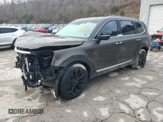 2020 Kia Telluride S with VIN 5XYP64HC5LG089517, listed as a Copart auction lot 42152365 with 78,858 mi miles and Salvage Title. Bid and sale history available at carsss.com. Image 1.
