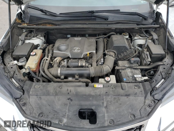 2019 Lexus NX with VIN JTJYARBZ4K2142551, listed as a Copart auction lot 50809545 with 79,270 mi miles and Salvage Title. Bid and sale history available at carsss.com. Image 12.