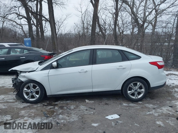 2013 Ford Focus SE with VIN 1FADP3F29DL343536, listed as a IAAI auction lot 41396247 with 185,737 mi miles. Bid and sale history available at carsss.com. Image 15.