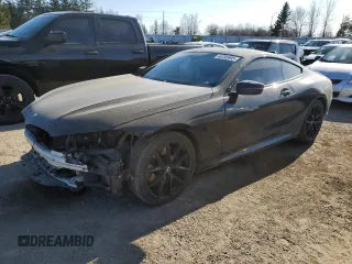 2020 BMW 8 Series M850i xDrive with VIN WBABC4C04LBU96980, listed as a Copart auction lot 48780995 with 76,690 mi miles and Clean Title. Bid and sale history available at carsss.com. Image 1.