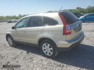 2008 Honda CR-V EX-L with VIN 5J6RE38738L009419, listed as a Copart auction lot 53494535 with 217,504 mi miles and Clean Title. Bid and sale history available at carsss.com. Image 2.