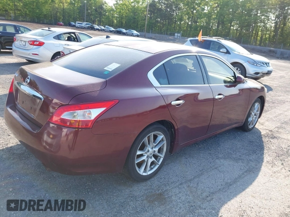 2009 Nissan Maxima SV with VIN 1N4AA51E19C841383, listed as a IAAI auction lot 42132774 with Not Provided miles and . Bid and sale history available at DreamBid. Image 4.