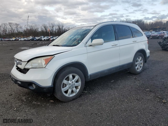 2009 Honda CR-V EX-L with VIN 5J6RE487X9L051738, listed as a Copart auction lot 51049785 with 169,135 mi miles and Salvage Title. Bid and sale history available at carsss.com. Image 1.