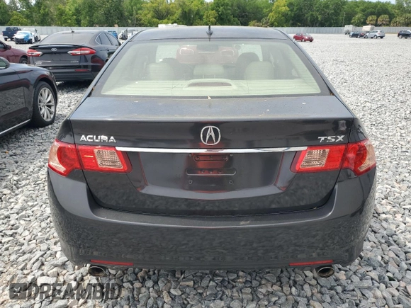 2013 Acura TSX with VIN JH4CU2F41DC009073, listed as a Copart auction lot 50339075 with 80,305 mi miles and Salvage Title. Bid and sale history available at carsss.com. Image 6.