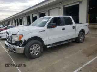 2013 Ford F-150 XL with VIN 1FTFW1ET8DFB46800, listed as a Copart auction lot 51226345 with 0 mi miles and Clean Title. Bid and sale history available at carsss.com. Image 1.