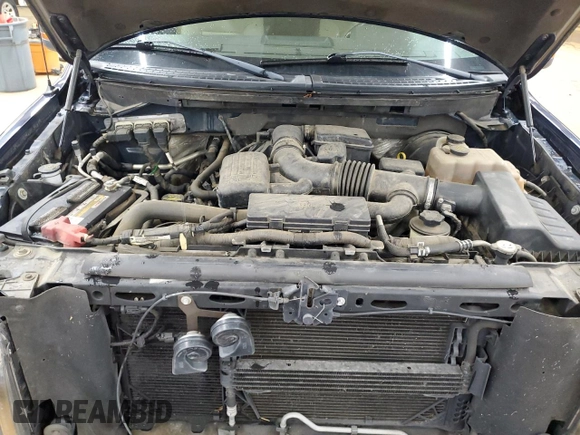 2009 Ford F-150 XL with VIN 1FTPW14V09FB11277, listed as a Copart auction lot 59531415 with 186,572 mi miles and Salvage title. Bid and sale history available at DreamBid. Image 11.