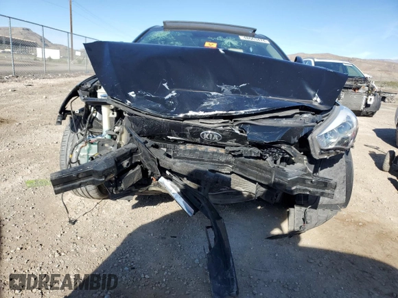 2014 Kia Cadenza Premium with VIN KNALN4D70E5126542, listed as a Copart auction lot 48663474 with Not Provided miles and Salvage Title. Bid and sale history available at carsss.com. Image 5.