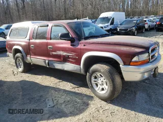 2002 Dodge Dakota SLT with VIN 1B7HG48N82S536711, listed as a Copart auction lot 48142485 with 0 mi miles and Salvage Title. Bid and sale history available at carsss.com. Image 4.