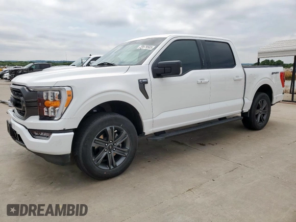 2023 Ford F-150 XL с VIN 1FTEW1CPXPKF70427, выставлен на аукционе Copart как лот 59579585 с пробегом 23 217 миль миль и Списание • Salvage title. История ставок и продаж доступна на DreamBid. Изображение 1.