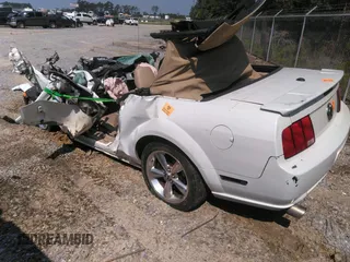 2007 Ford Mustang GT Deluxe with VIN 1ZVHT85H675258234, listed as a IAAI auction lot 42519184 with Not provided miles and . Bid and sale history available at DreamBid. Image 3.