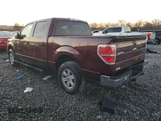 2009 Ford F-150 XL with VIN 1FTPW12V69KC71691, listed as a Copart auction lot 46351605 with 219,531 mi miles and Salvage Title. Bid and sale history available at carsss.com. Image 2.