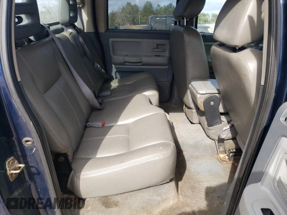2005 Dodge Dakota SLT with VIN 1D7HE48N15S223063, listed as a Copart auction lot 43223535 with 167,501 mi miles and Salvage Title. Bid and sale history available at DreamBid. Image 10.