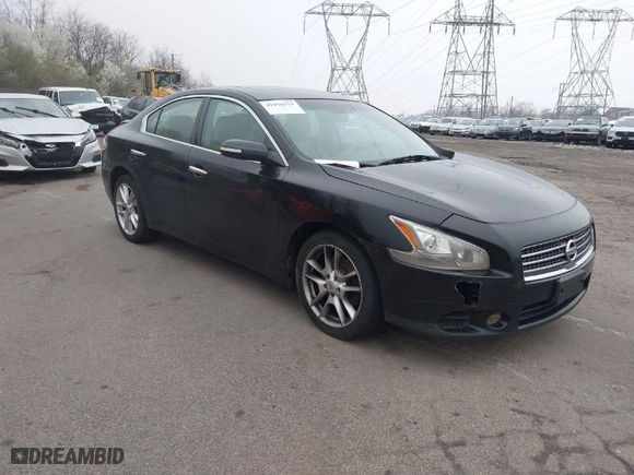 2011 Nissan Maxima 3.5 S with VIN 1N4AA5AP0BC866153, listed as a IAAI auction lot 41956111 with 244,557 mi miles. Bid and sale history available at carsss.com. Image 1.