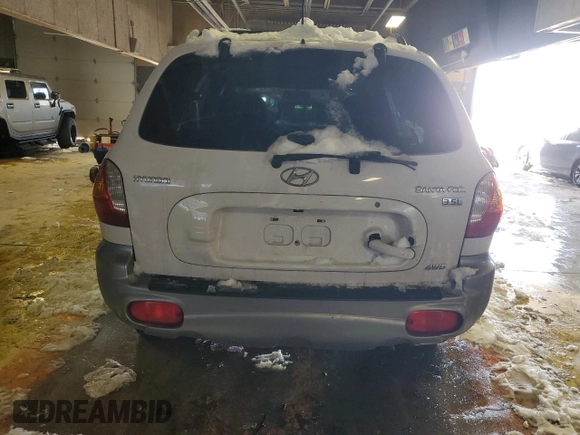 2004 Hyundai Santa Fe GLS with VIN KM8SC73E54U767532, listed as a Copart auction lot 41648395 with 125,439 mi miles and Salvage Title. Bid and sale history available at carsss.com. Image 6.